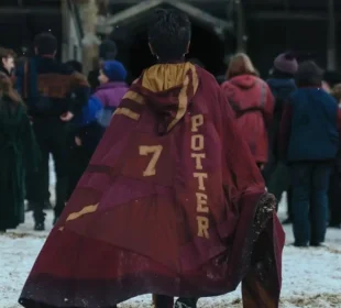 Harry Potter Series Revealed