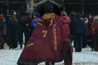 Harry Potter Series Revealed