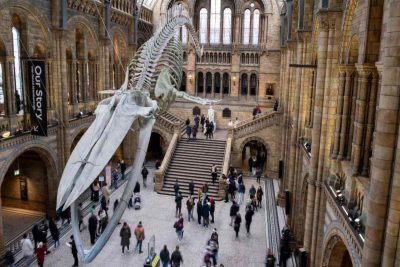 Natural History Museum
