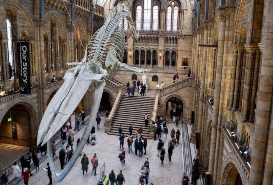 Natural History Museum