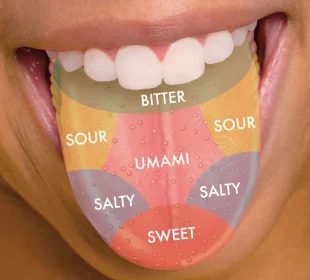 The Science Behind Taste and Flavor