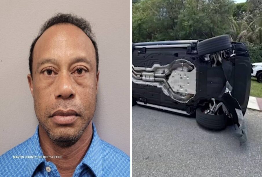 A mugshot of Tiger Woods