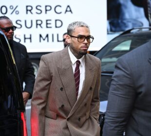 Chris Brown Seeks Court Order to Block Rihanna Case Mention in Dog Bite Trial