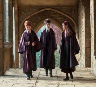 Harry Potter TV Series