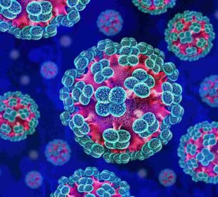 Hantavirus under the microscope